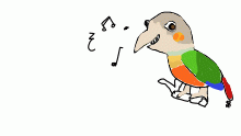 Rachel The Conure