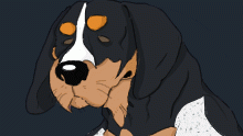 Bluetick hound
