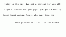 contest