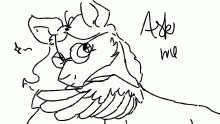 ask me anything