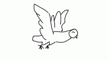 bird