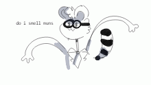 chicago the raccoon