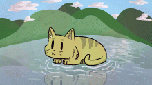 Water Cat