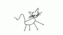 Scribble Cat
