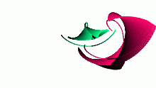 c o l o r