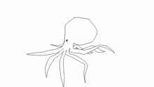 octopus (again)