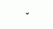 lizard