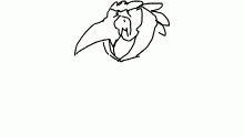 bird dude