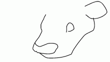 new cow