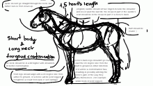some anatomy stuff from memory