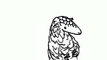 Pangolins are so cute