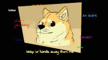 Doge meme