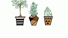 I want these >:0