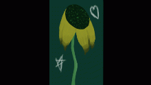 withering flower