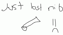 lost my nib