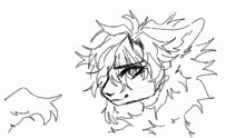 lazy doodle