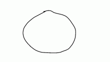 Circle