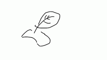 The Quill