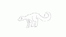 Grevosaurus