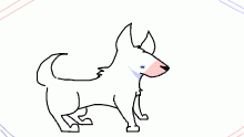 a bull terrier