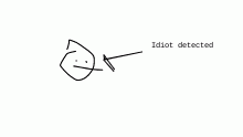 I AM AN IDIOT