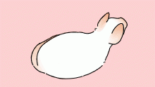 @ʕ•́ᴥ•̀ʔ