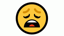 When the animation is taking so lo-