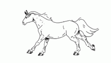 a little gallop animation b4 school