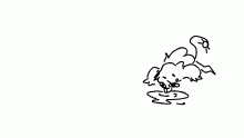 ive never