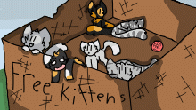 Free Kittens