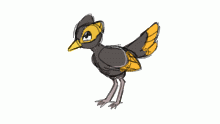 Cool bird