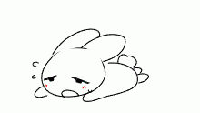 no motivation
