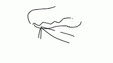 Anyone want to collab