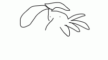 o>o