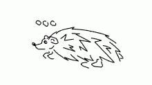 hodgeheg
