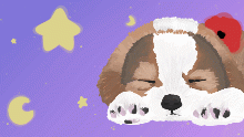 Flooffff