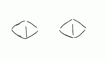 koook