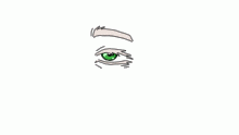 eye practice