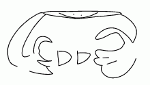 DD