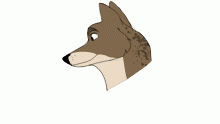 Fleck