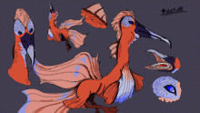 Contest entry
