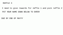 RAFFLE 3