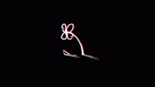 flower.
