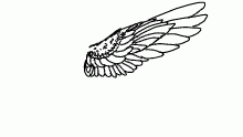 wing!!