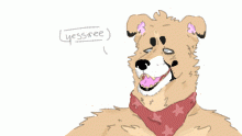 more Seb boyo