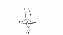 The infinite noodle