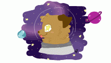 first doggo in space