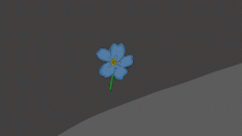 Forget me not