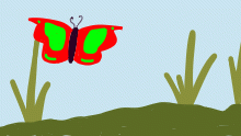 Cray-z Butterfly