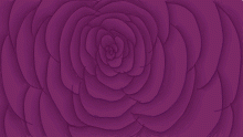 3Dish Rose